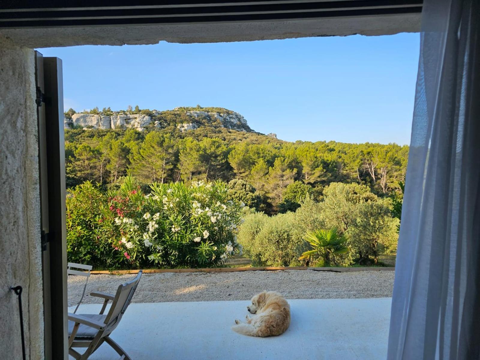 Bed and Breakfast Mas De La Fadeto à Les Baux-de-Provence Extérieur photo