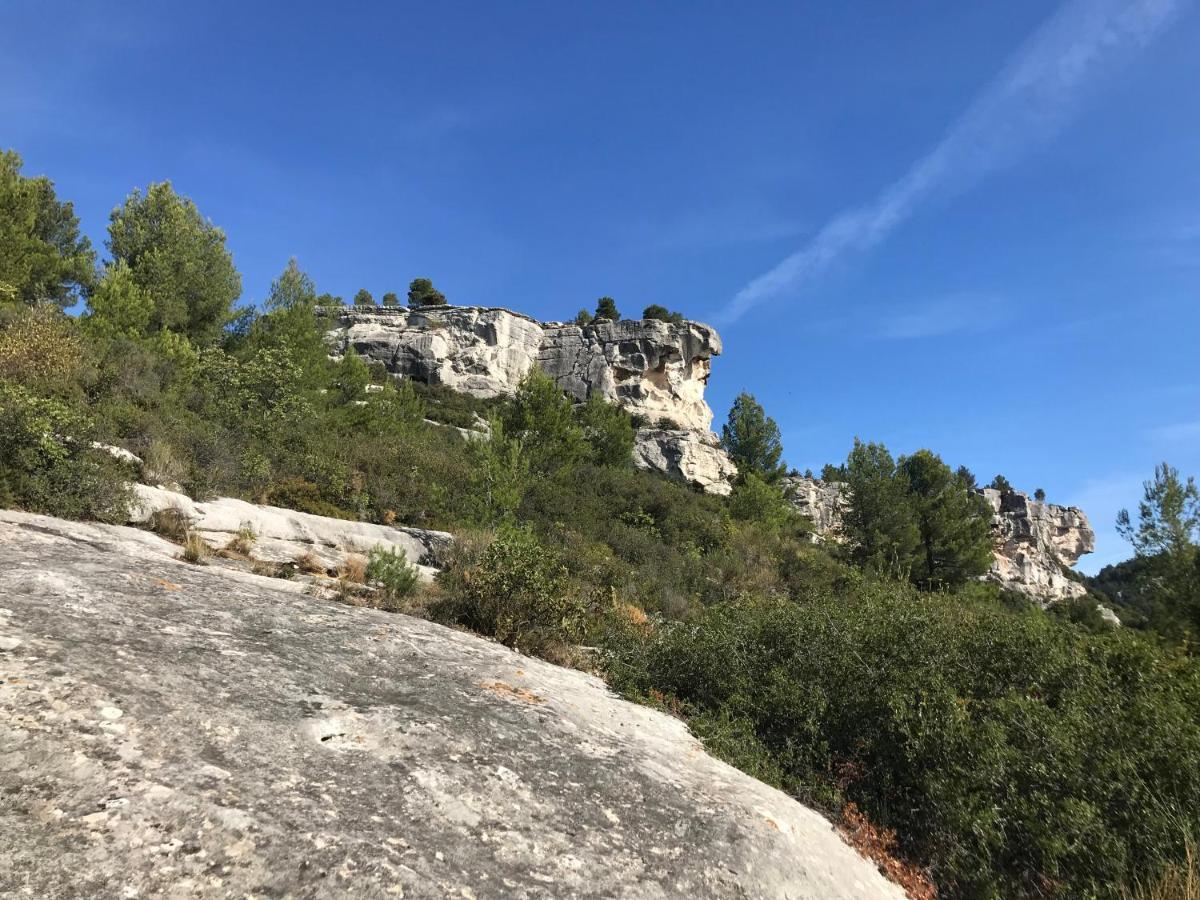 Bed and Breakfast Mas De La Fadeto à Les Baux-de-Provence Extérieur photo